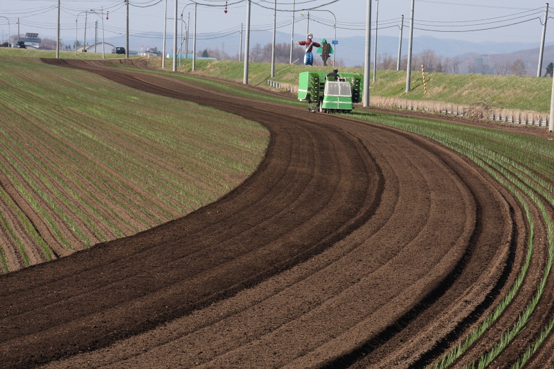 ファイル 63-1.jpg