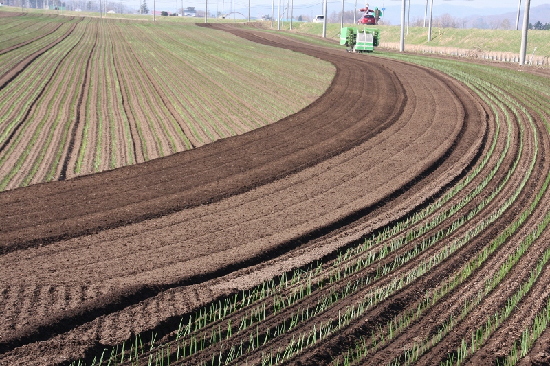 ファイル 63-3.jpg