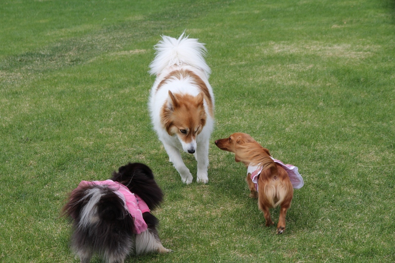 ファイル 64-1.jpg