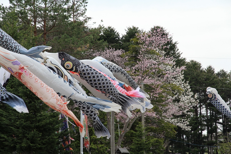 ファイル 64-3.jpg