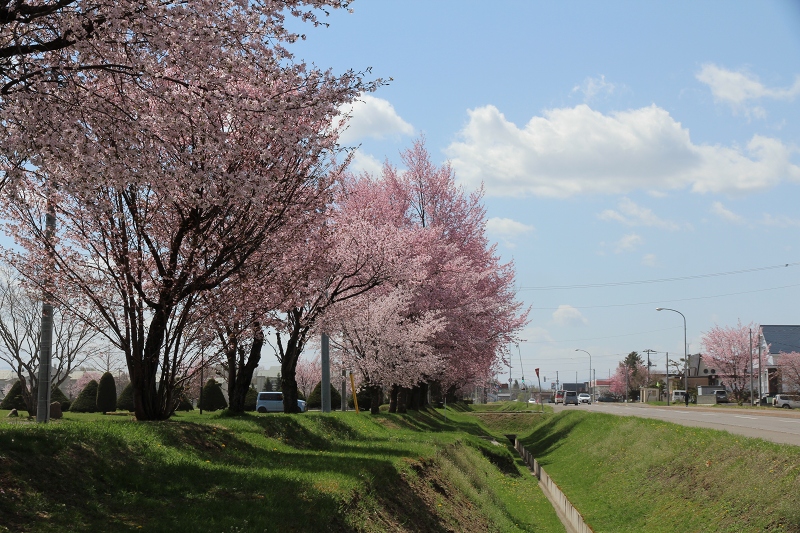 ファイル 66-2.jpg