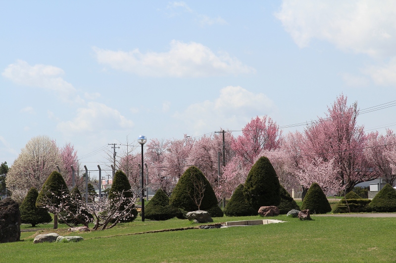 ファイル 66-3.jpg