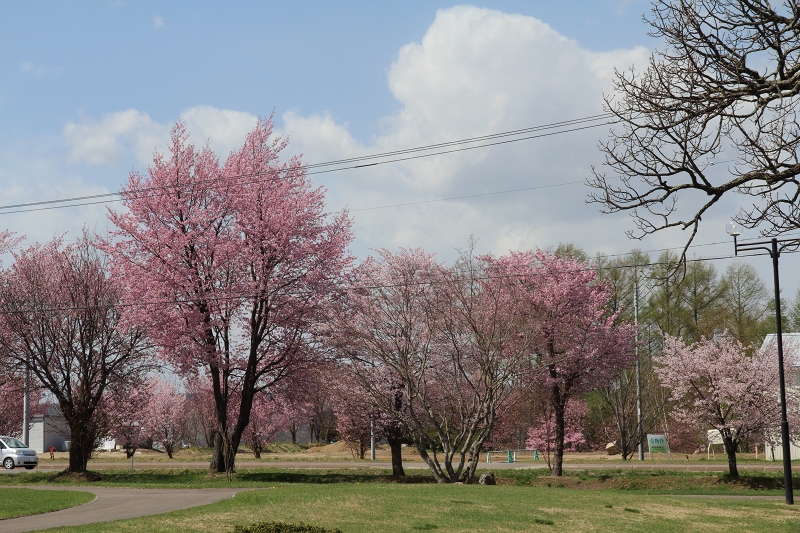 ファイル 66-4.jpg