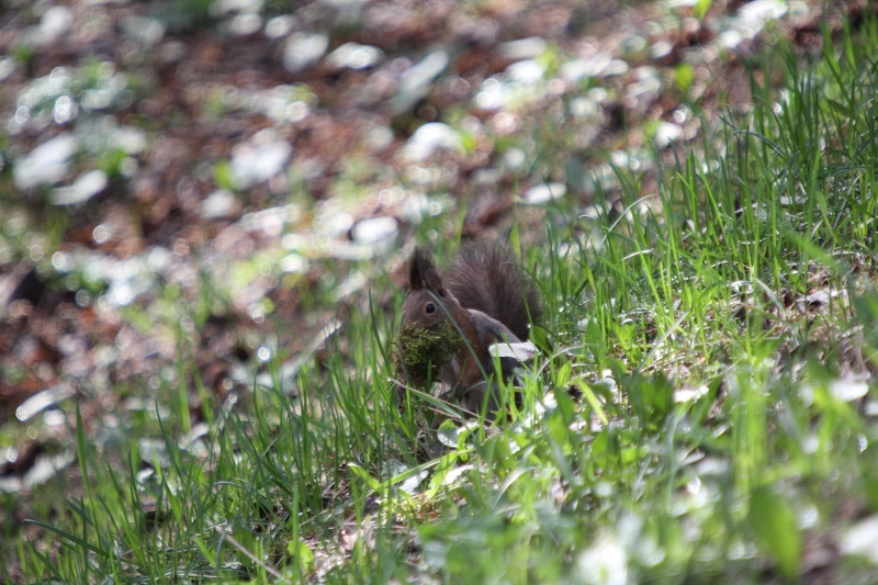 ファイル 67-2.jpg