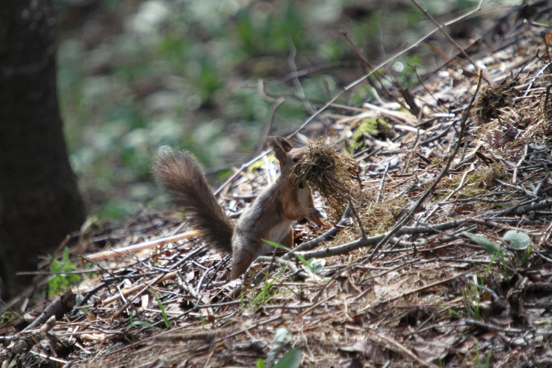 ファイル 67-4.jpg