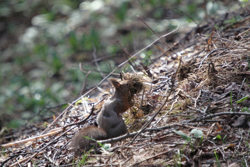 ファイル 67-5.jpg