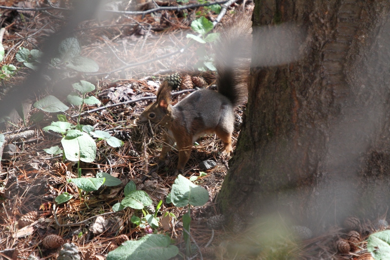 ファイル 67-6.jpg