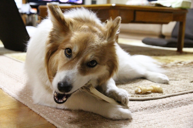 ファイル 67-8.jpg