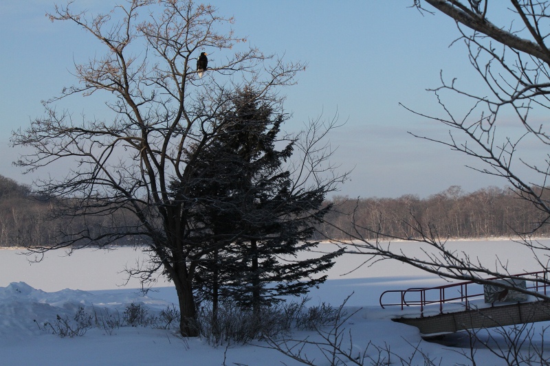 ファイル 7-1.jpg