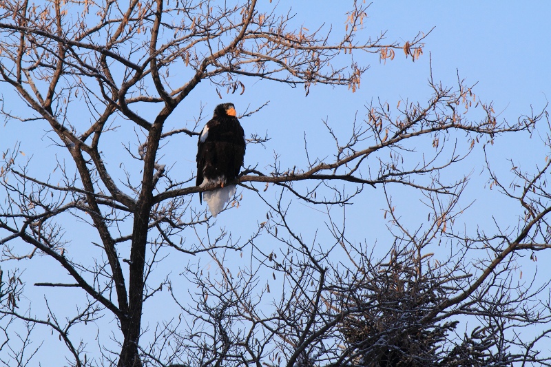 ファイル 7-2.jpg