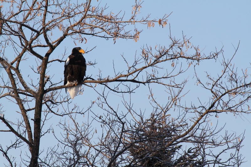 ファイル 7-3.jpg