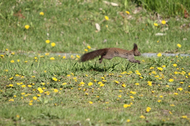 ファイル 71-4.jpg