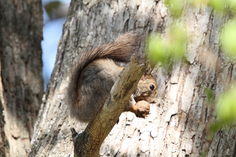 ファイル 71-5.jpg