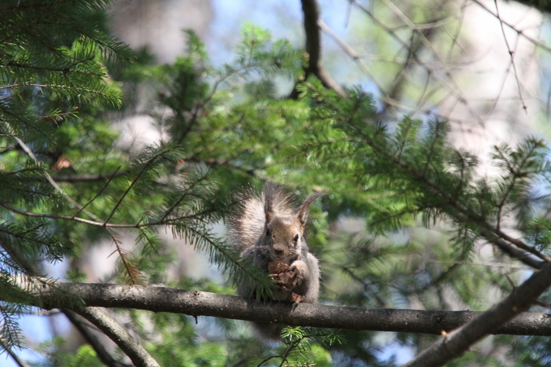 ファイル 71-6.jpg