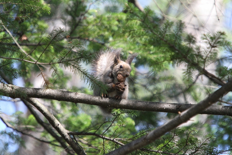 ファイル 71-7.jpg