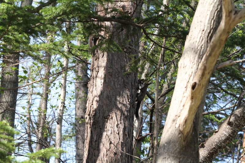 ファイル 71-8.jpg