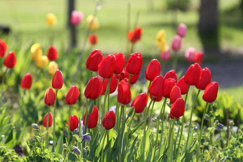 ファイル 71-9.jpg