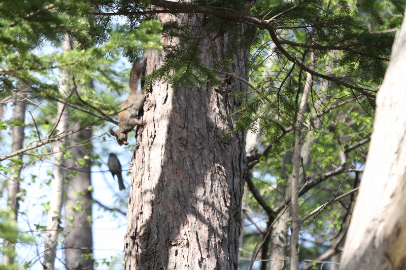 ファイル 72-1.jpg