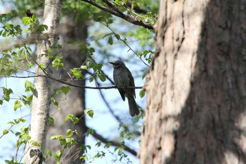 ファイル 72-2.jpg