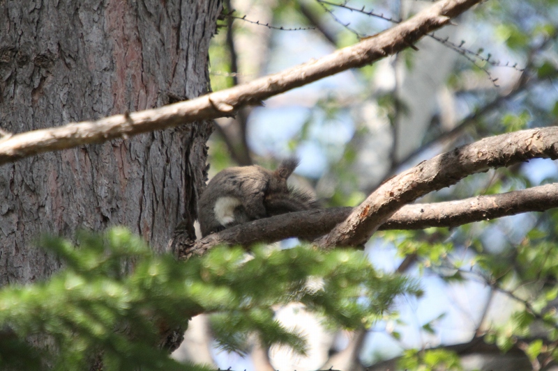 ファイル 72-3.jpg