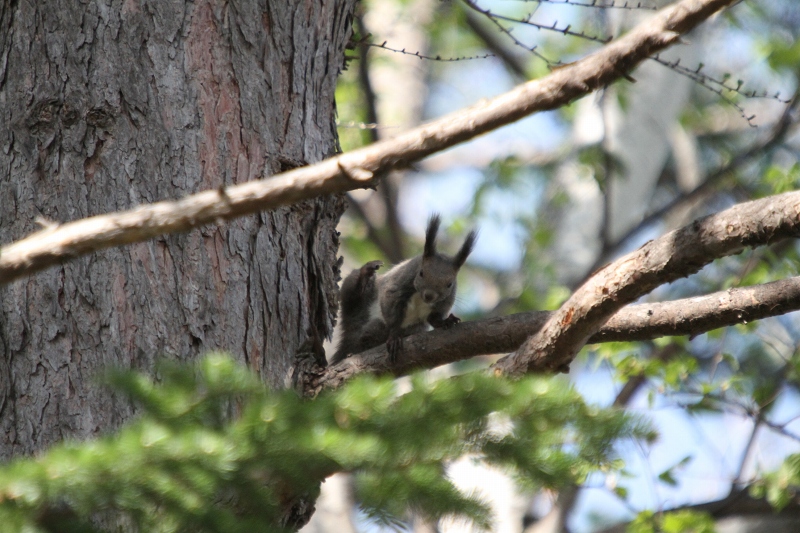 ファイル 72-4.jpg