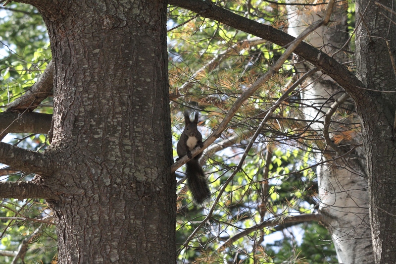 ファイル 72-5.jpg