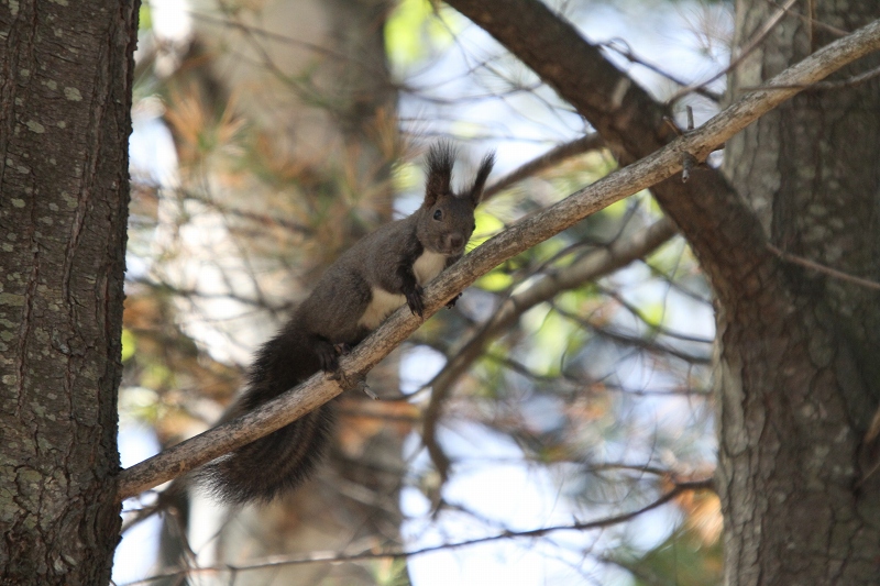 ファイル 72-6.jpg