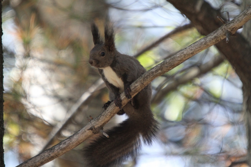 ファイル 72-7.jpg