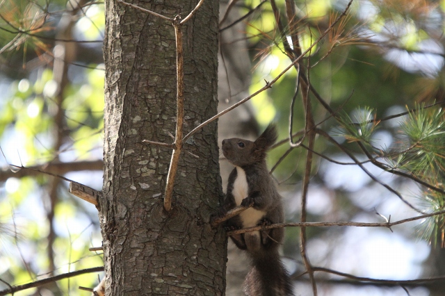 ファイル 72-8.jpg