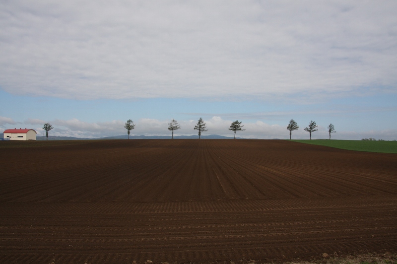 ファイル 73-1.jpg