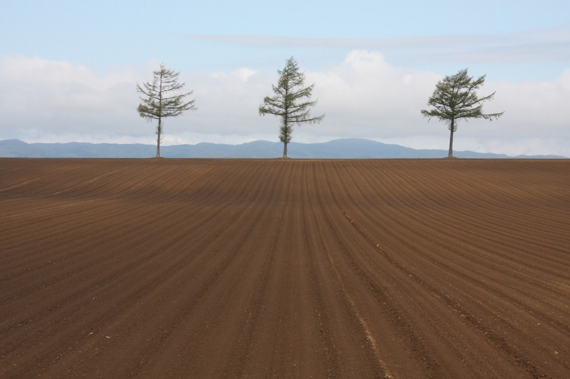 ファイル 73-2.jpg