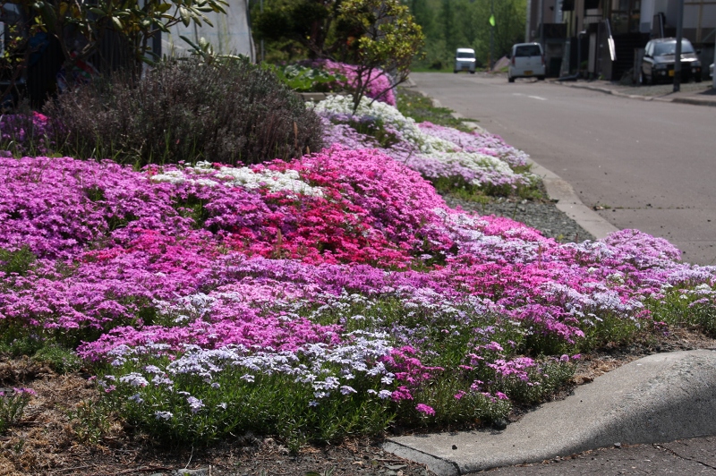 ファイル 74-3.jpg