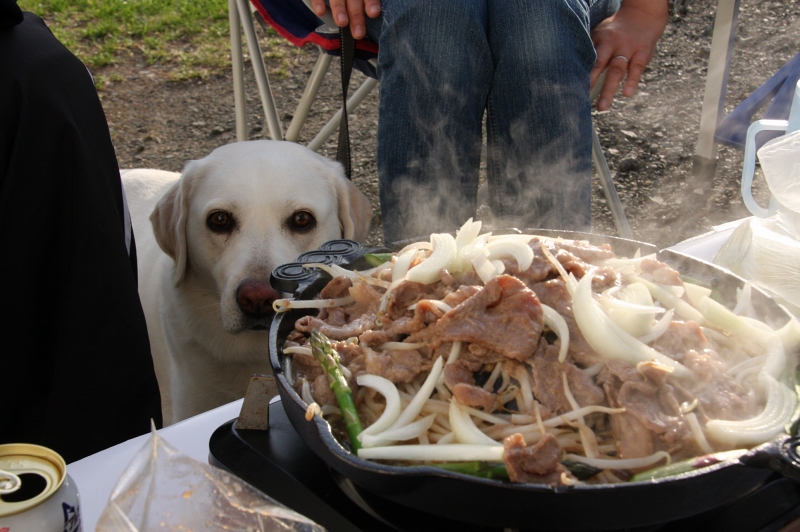 ファイル 74-4.jpg