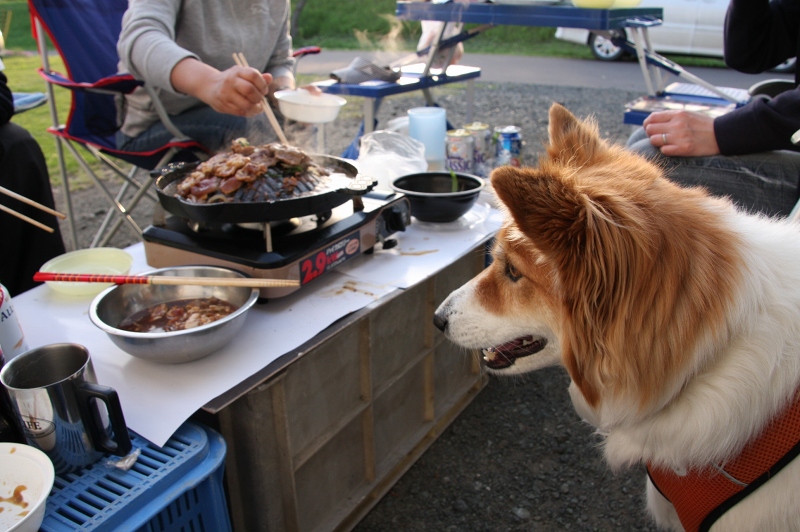 ファイル 74-5.jpg