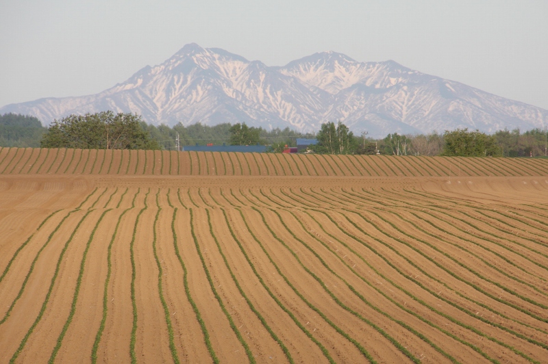 ファイル 74-8.jpg