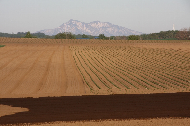 ファイル 74-9.jpg