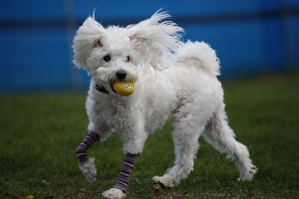 ファイル 76-1.jpg