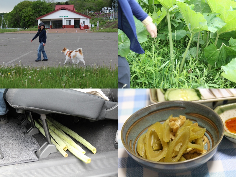 ファイル 78-6.jpg