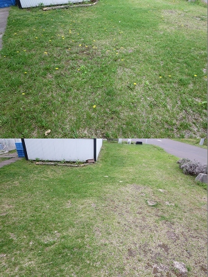 ファイル 83-1.jpg