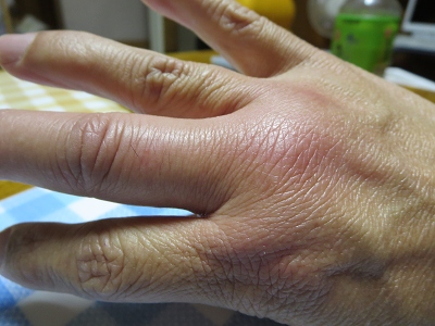 ファイル 83-8.jpg