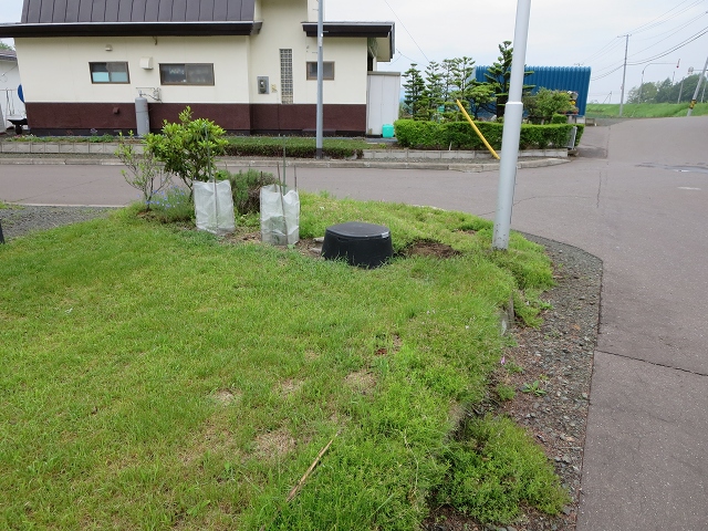 ファイル 84-2.jpg