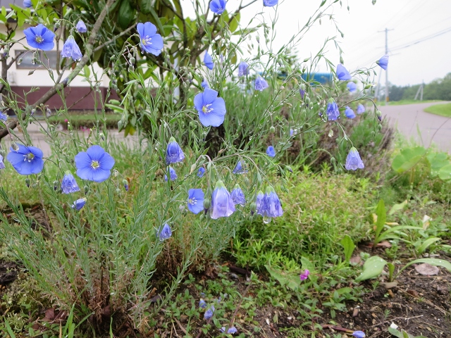 ファイル 84-4.jpg