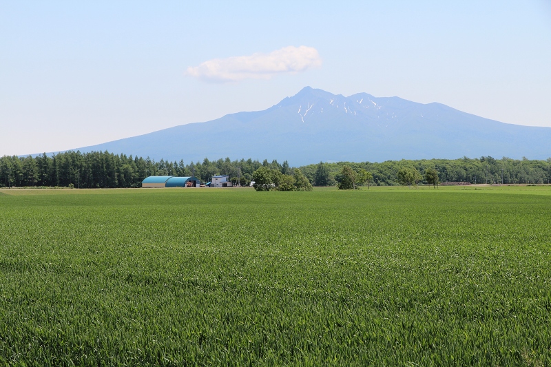 ファイル 85-1.jpg