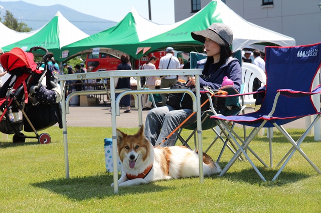 ファイル 85-2.jpg