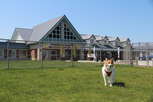 ファイル 85-8.jpg