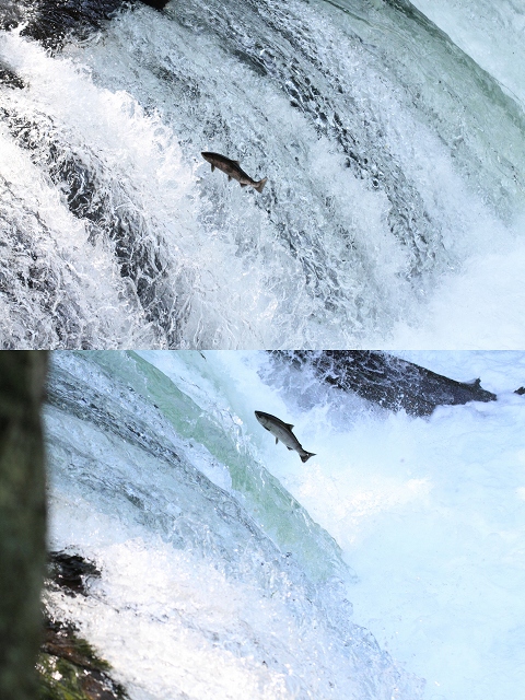 ファイル 86-1.jpg