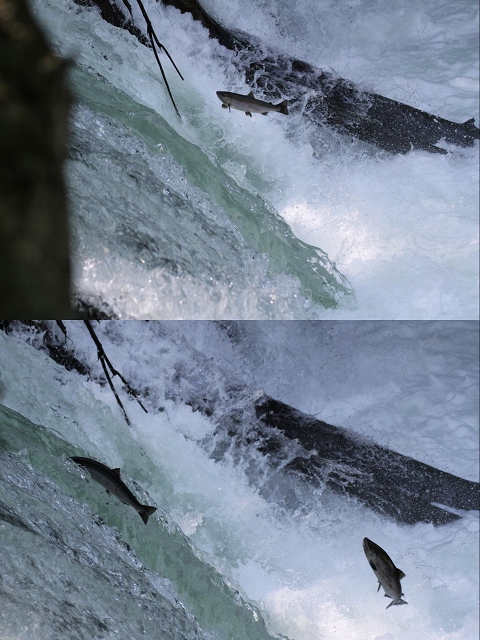 ファイル 86-2.jpg