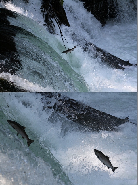 ファイル 86-3.jpg