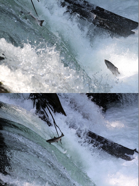 ファイル 86-4.jpg