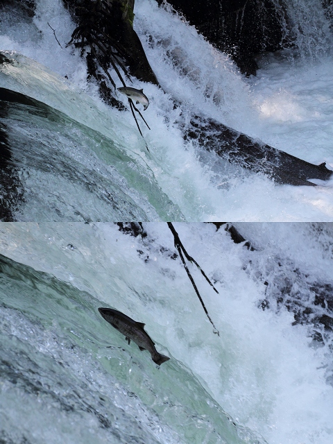 ファイル 86-5.jpg